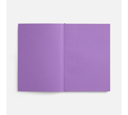 Ежедневник Flat, недатированный, фиолетовый, ver.2