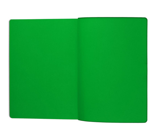 Ежедневник Flexpen Shall, недатированный, зеленый