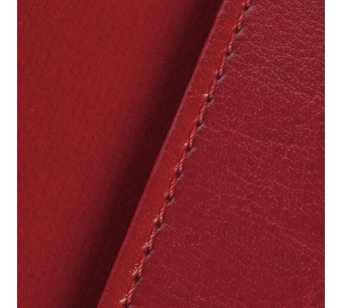 Обложка для паспорта Nebraska, красная