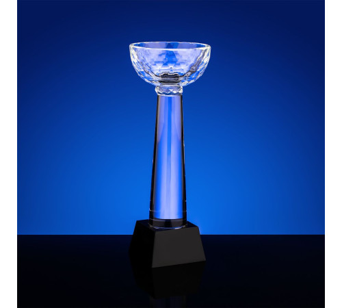 Кубок Cupture, большой