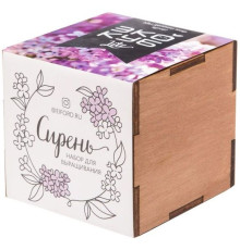 Набор для выращивания «Экокуб Lite», сирень