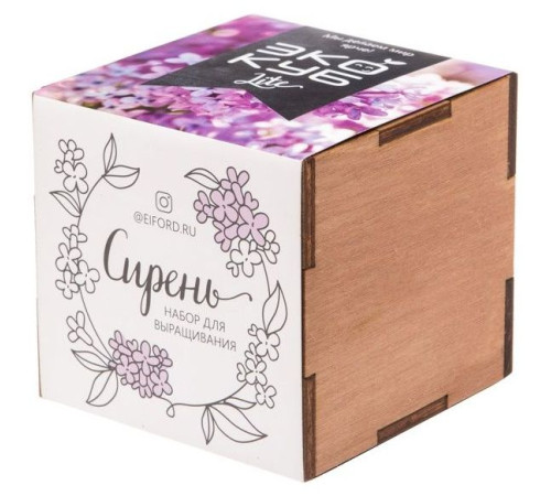 Набор для выращивания «Экокуб Lite», сирень