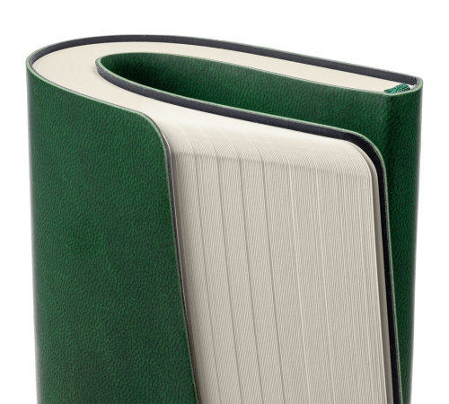 Ежедневник Romano, недатированный, зеленый