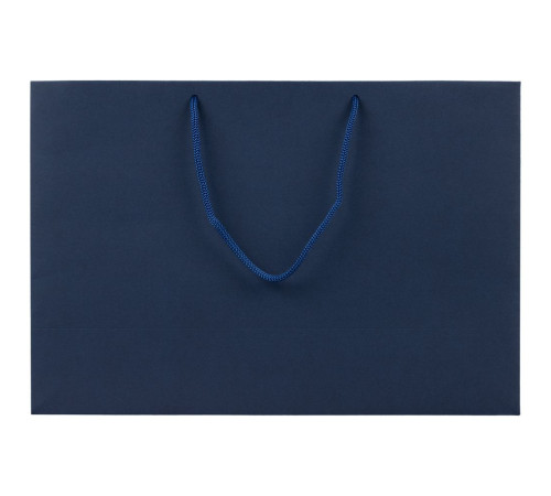 Пакет бумажный Ample Plus M, синий