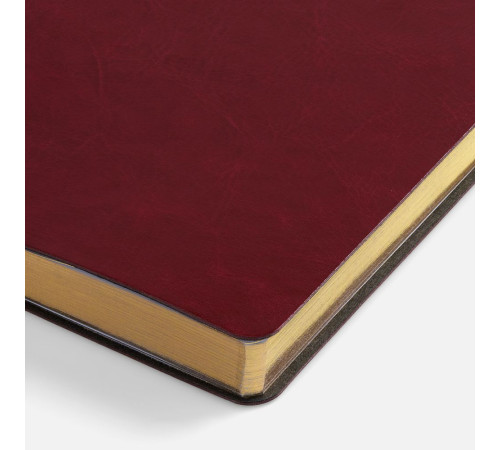 Ежедневник Nebraska Flex, недатированный, бордовый с золотистым