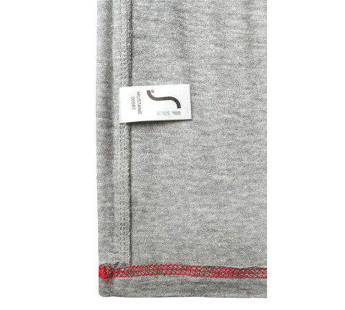 Футболка мужская Regent Fit 150, синий меланж