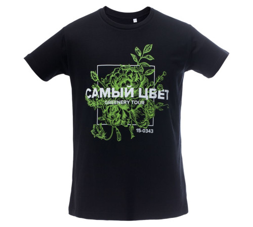 Футболка мужская Regent Fit 150, черная