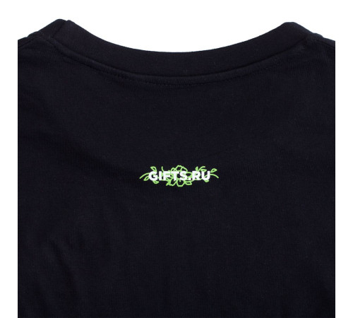 Футболка мужская Regent Fit 150, черная