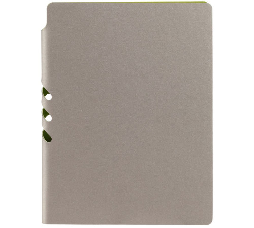 Ежедневник Flexpen, недатированный, серебристо-зеленый