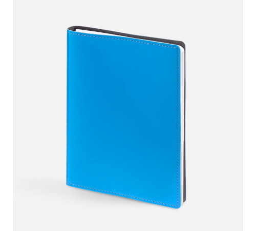 Ежедневник Spring Shall, недатированный, голубой