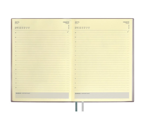 Ежедневник Avila, недатированный, серый