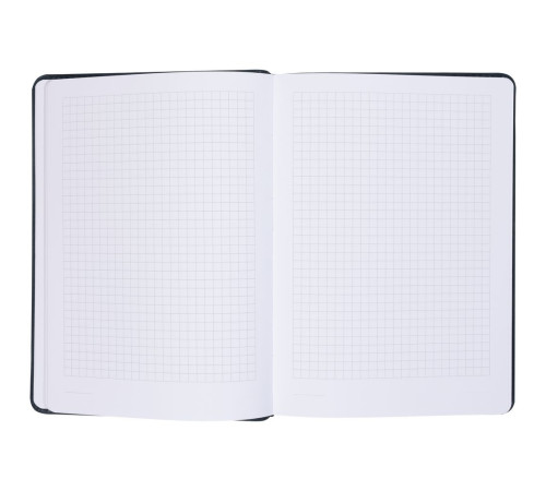 Ежедневник Termini, недатированный, синий