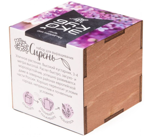 Набор для выращивания «Экокуб Lite», сирень