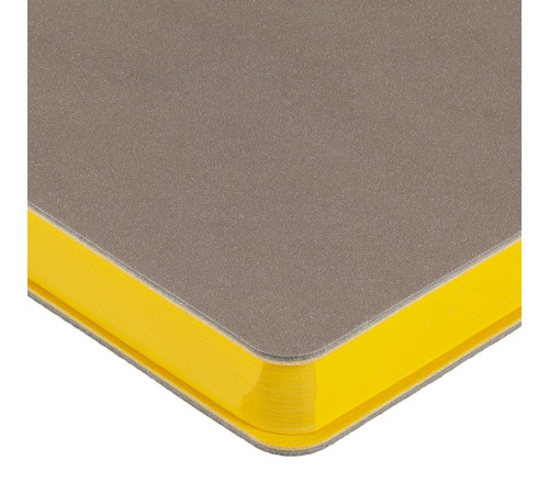 Ежедневник Flexpen, недатированный, серебристо-желтый