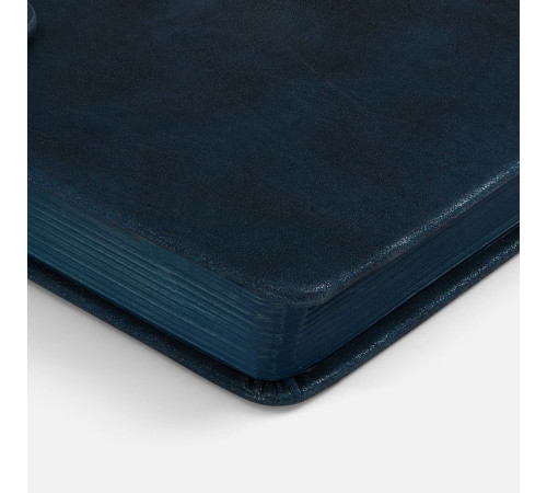 Ежедневник Leadmark, недатированный, синий