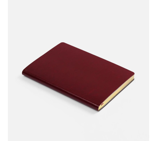 Ежедневник Nebraska Flex, недатированный, бордовый с золотистым