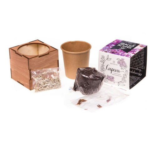 Набор для выращивания «Экокуб Lite», сирень