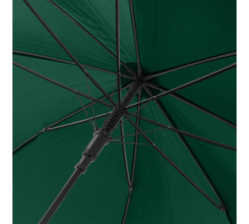Зонт-трость Dublin, зеленый