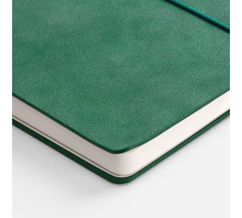 Ежедневник Kuka, недатированный, светло-зеленый