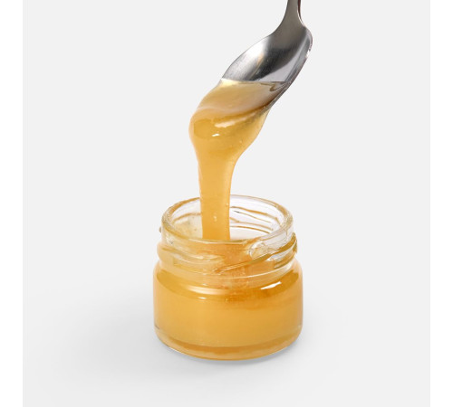 Мед Colmena, донниковый