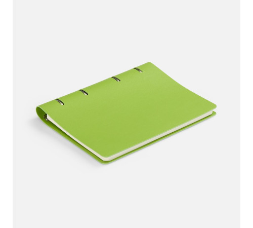 Ежедневник Ringo, недатированный, зеленый