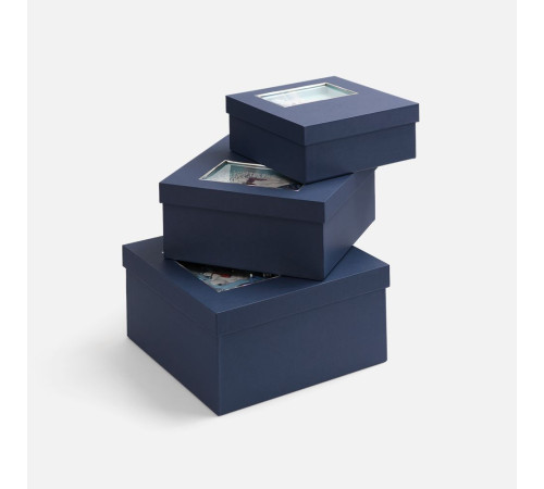 Коробка The Blue Bear, M