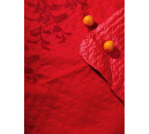 Плед для пикника Soft & Dry 2, красный