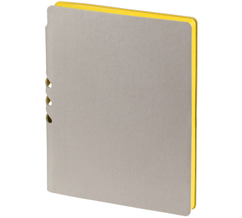Ежедневник Flexpen, недатированный, серебристо-желтый