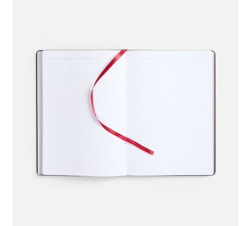 Ежедневник Nebraska Flex, недатированный, бордовый с золотистым