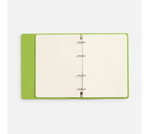 Ежедневник Ringo, недатированный, зеленый