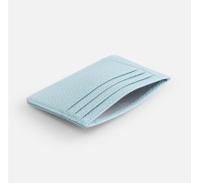 Чехол для карт Unison, голубой