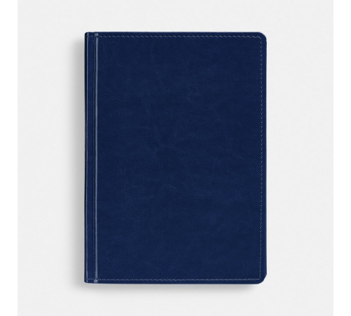 Ежедневник New Nebraska, датированный, синий