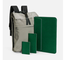 Набор Petrus Travel, зеленый