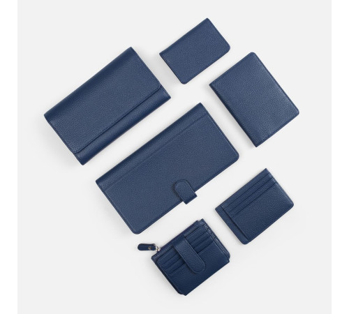 Футляр для визиток Unison, синий