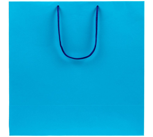 Пакет бумажный Porta L, голубой
