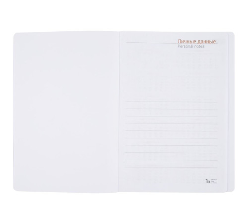 Ежедневник Basis, датированный, красный