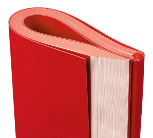 Ежедневник Flat Maxi, недатированный, красный