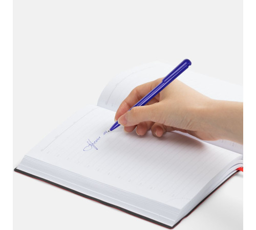 Ручка шариковая Penpal, синяя