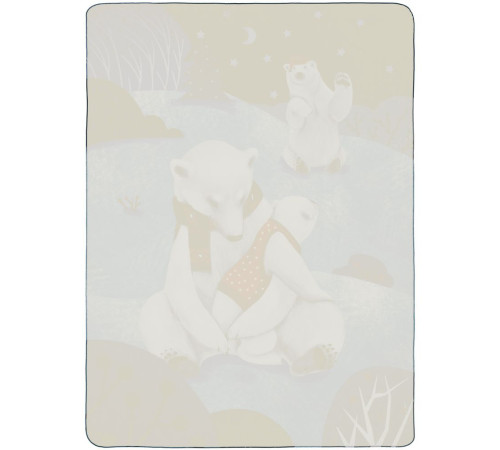 Флисовый плед Wintart Bear