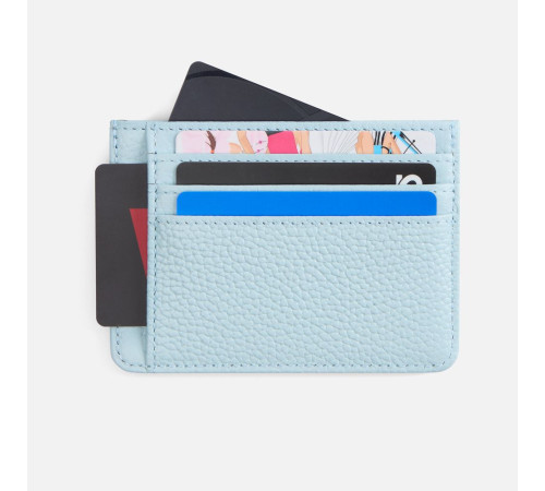 Чехол для карт Unison, голубой
