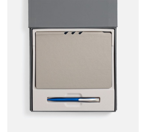 Набор Flexpen Grey, синий