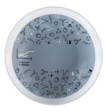 Тарелка наградная «Бизнес-зодиак. Водолей»