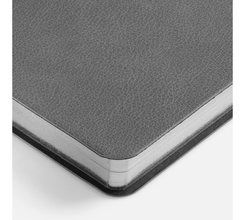 Ежедневник Petrus, недатированный, серый