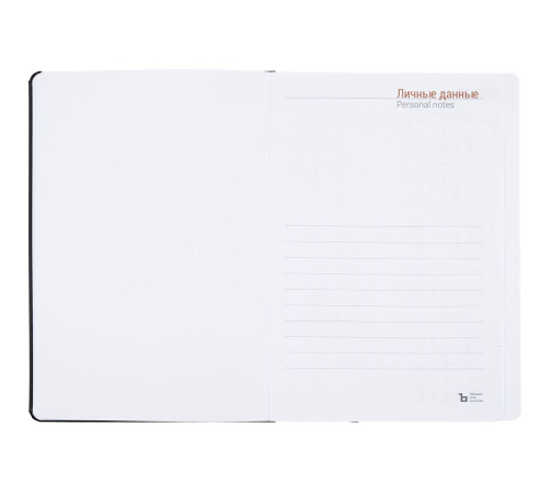 Ежедневник Basis, датированный, черный