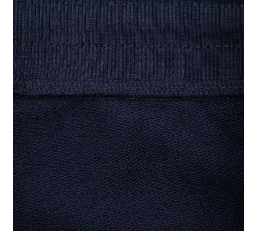 Джоггеры мужские Jet Men, темно-синие