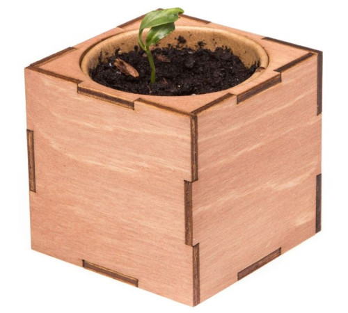 Набор для выращивания «Экокуб Lite», сирень