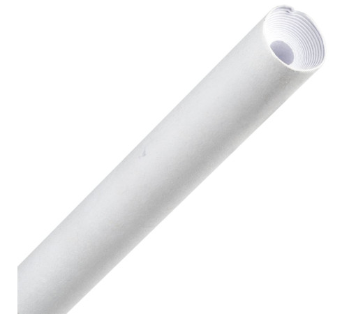 Ручка шариковая Carton Plus, белая