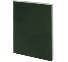 Ежедневник Flat, недатированный, зеленый