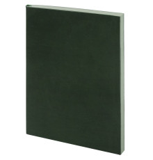 Ежедневник Flat, недатированный, зеленый