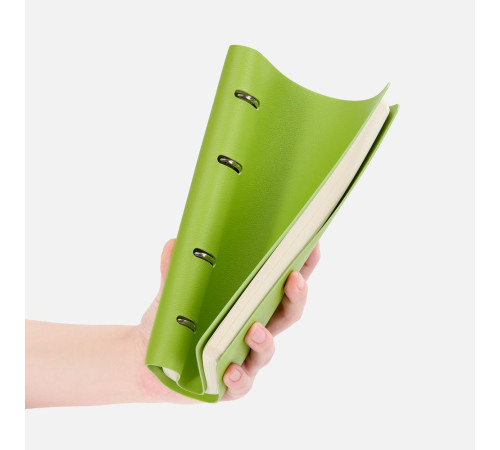 Ежедневник Ringo, недатированный, зеленый